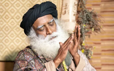 每日智慧，11月4日