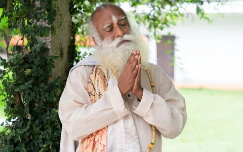 每日智慧，2月19日