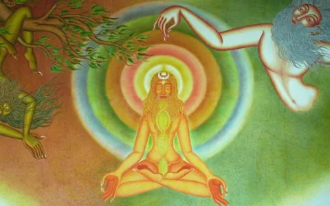 Ojas——让你的生命毫不费力（上）