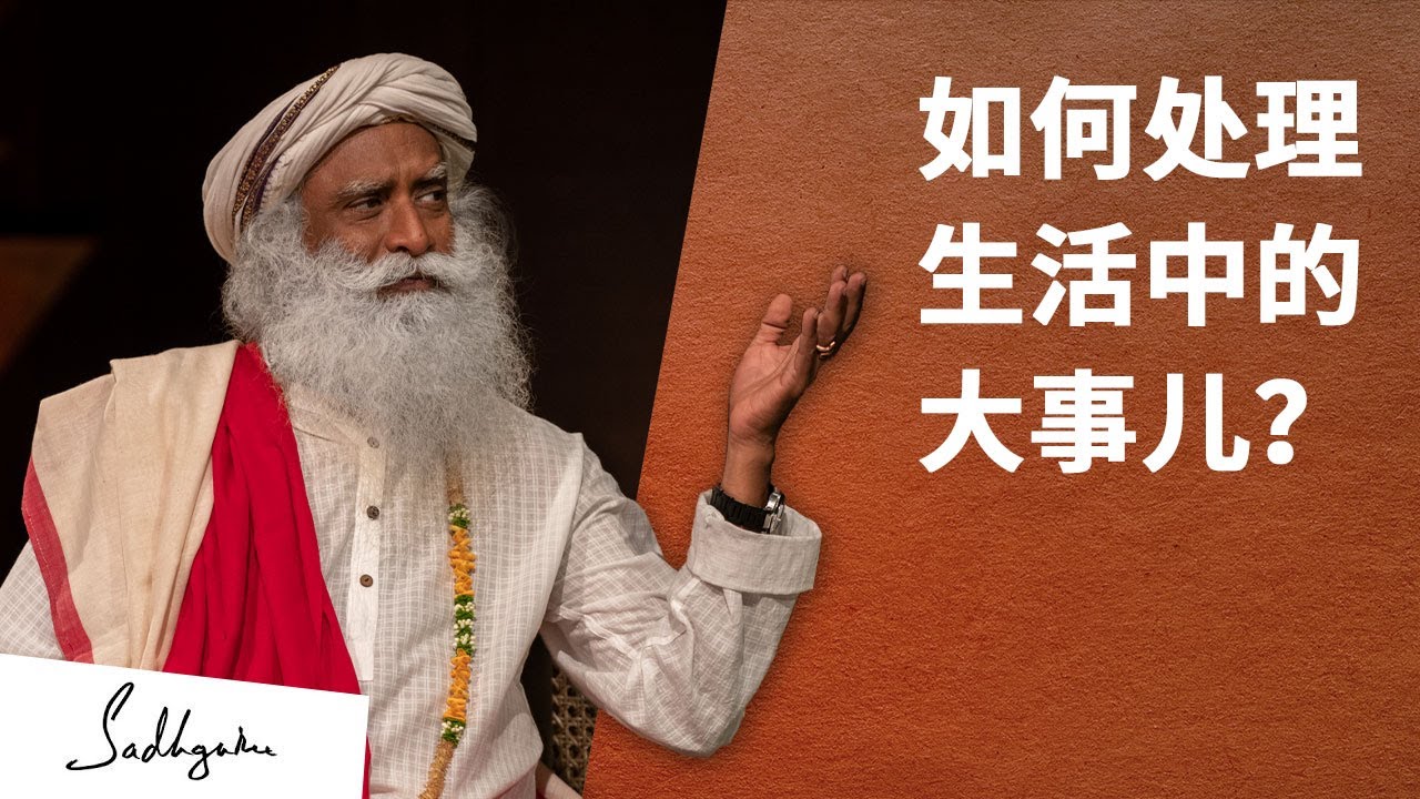 “我该如何处理生活中的大事儿？”丨视频