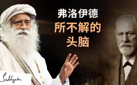 弗洛伊德所不解的头脑