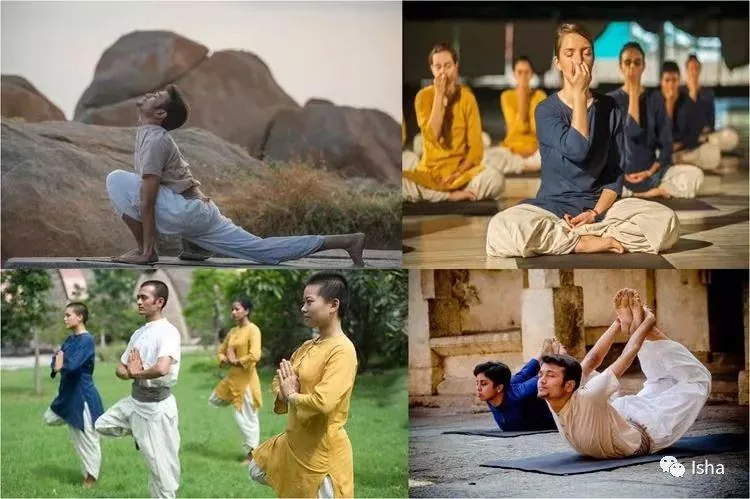 Isha哈他瑜伽教师培训随笔(一)丨2018年8月