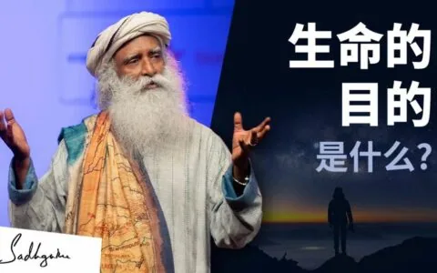 生命的目的是什么？丨视频