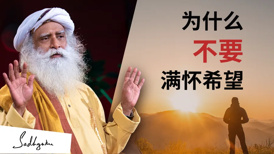 为什么不要抱有希望