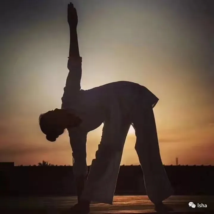 Isha哈他瑜伽教师培训随笔(一)丨2018年8月