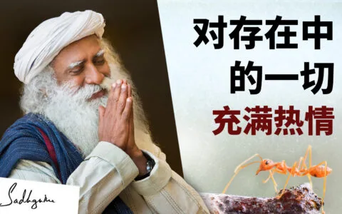 对存在中的一切充满热情
