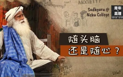 跟随头脑还是跟随心?丨视频