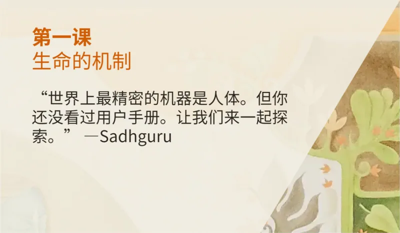 对他人有期待,放不下执着,该怎么办?