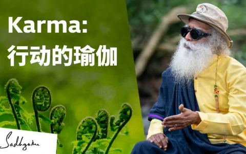 Karma: 行动的瑜伽