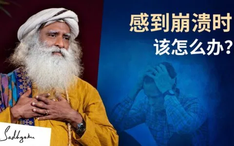 当你感到崩溃时，该怎么办？
