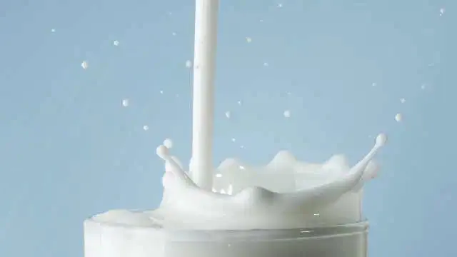 萨古鲁:为了健康生活,你应避免的4种常见食物