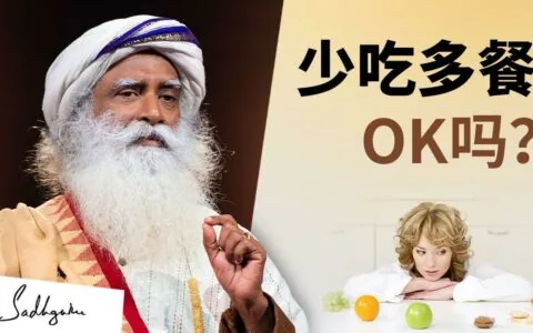少吃多餐OK吗？