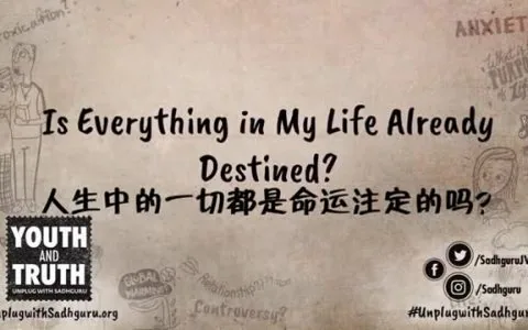 一切都是命中注定的吗？丨视频