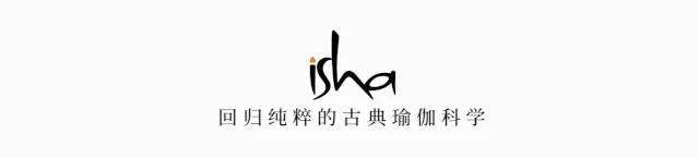 学员分享丨成为自己生命的掌舵者