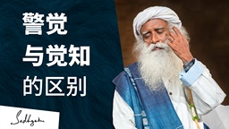 警觉与觉知的区别