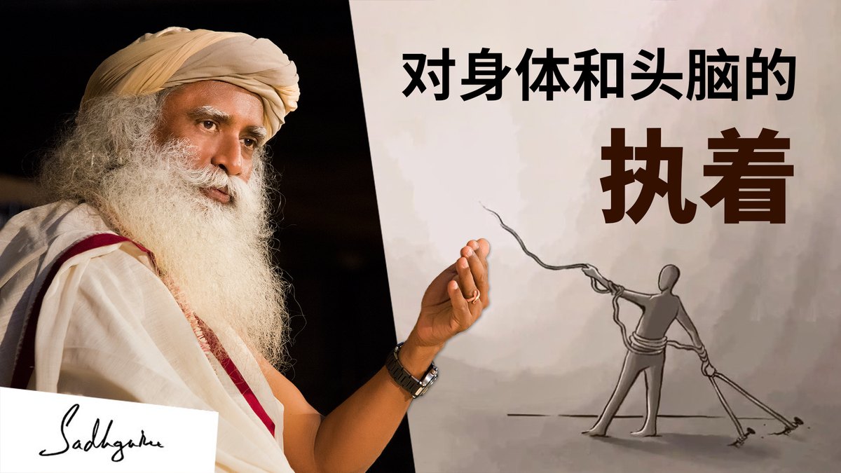 对身体和头脑的执着