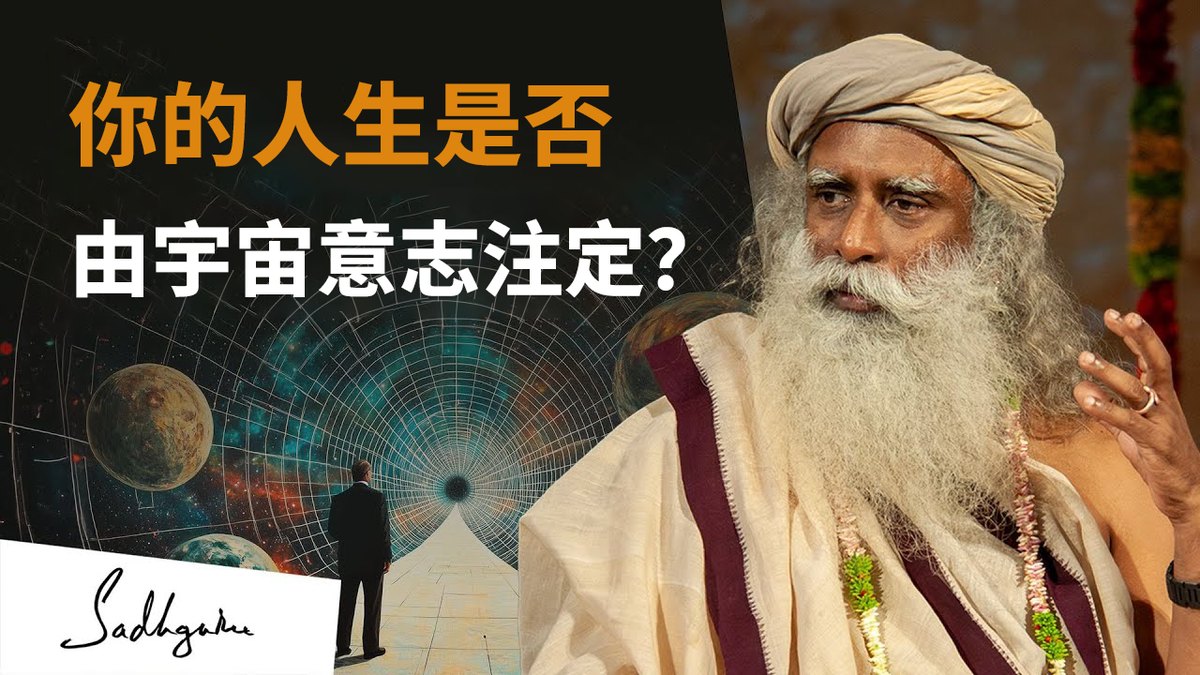 你的人生是否由宇宙意志注定？