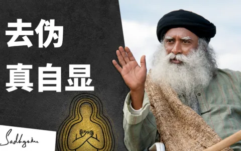 如果我不是身体也不是头脑，那么我是谁？