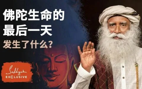 佛陀生命的最后一天发生了什么？丨视频