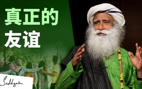 什么才是真正的友谊