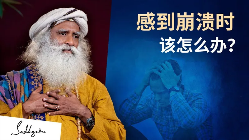 当你感到崩溃时，该怎么办？