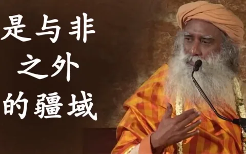 是与非之外的疆域（视频）