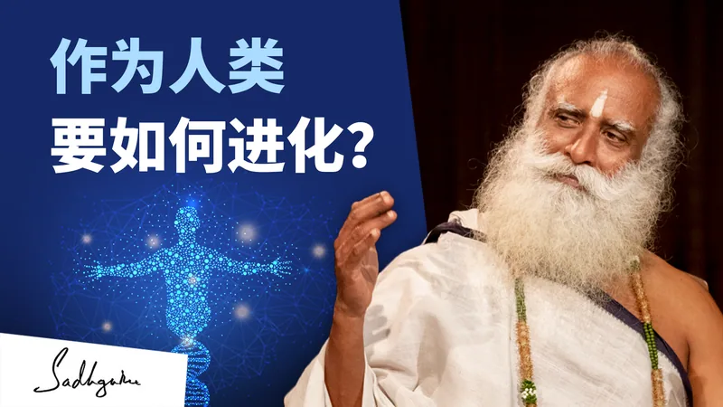 我要如何进化？