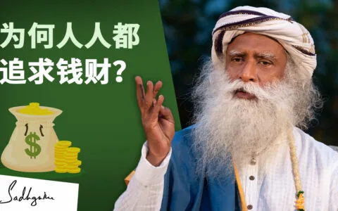 为何人人都追求钱财？