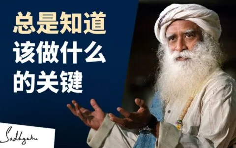如何总是知道该做什么
