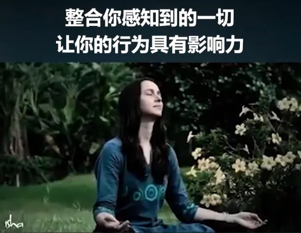 整合你感知到的一切，让你的行为具有影响力