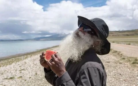 哪些是提升能量水平的最佳食物，哪些应该避免？