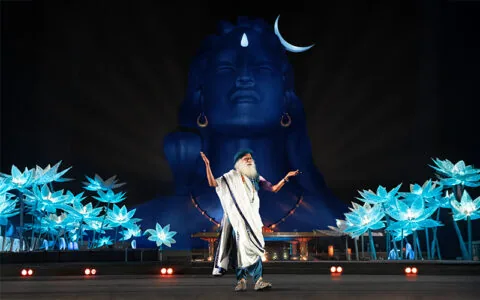 每日智慧，2月15日