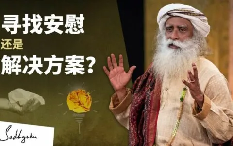 你寻找的是安慰，还是解决方案？丨视频
